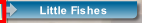 wpad8b1d97.png